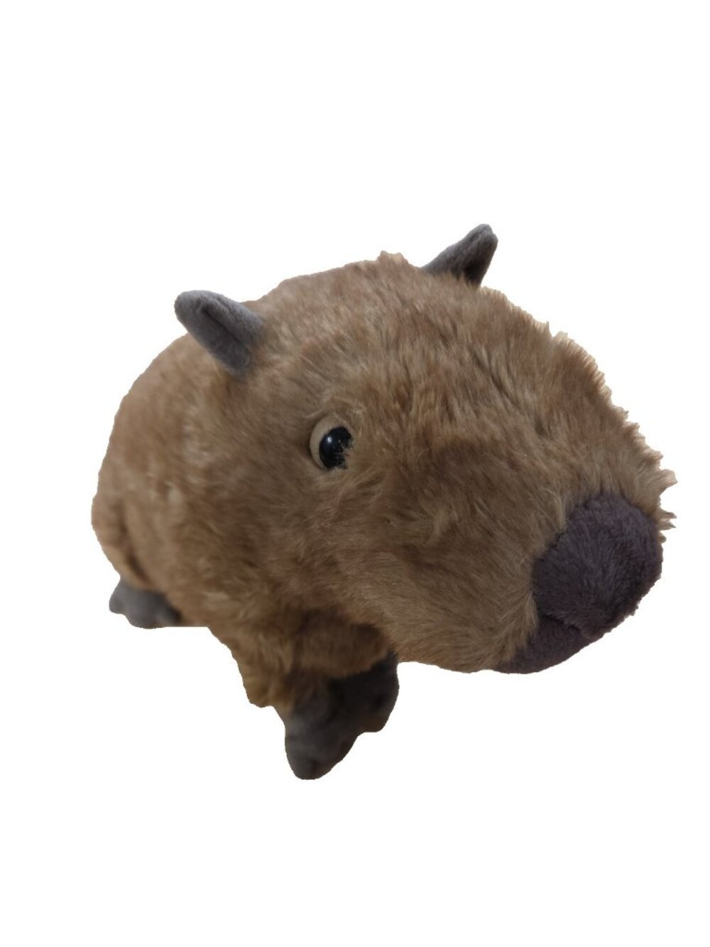 Jellycat Clyde capybara NEW